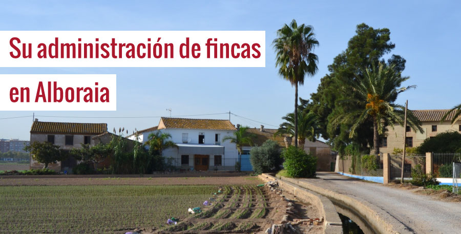 adm_fincas_alboraia
